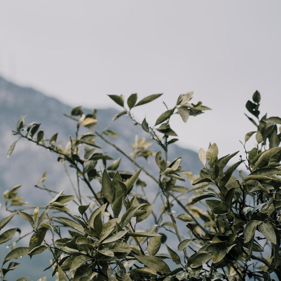 Baleze Boutique Hotel - Adults Only Акиака Екстериор снимка